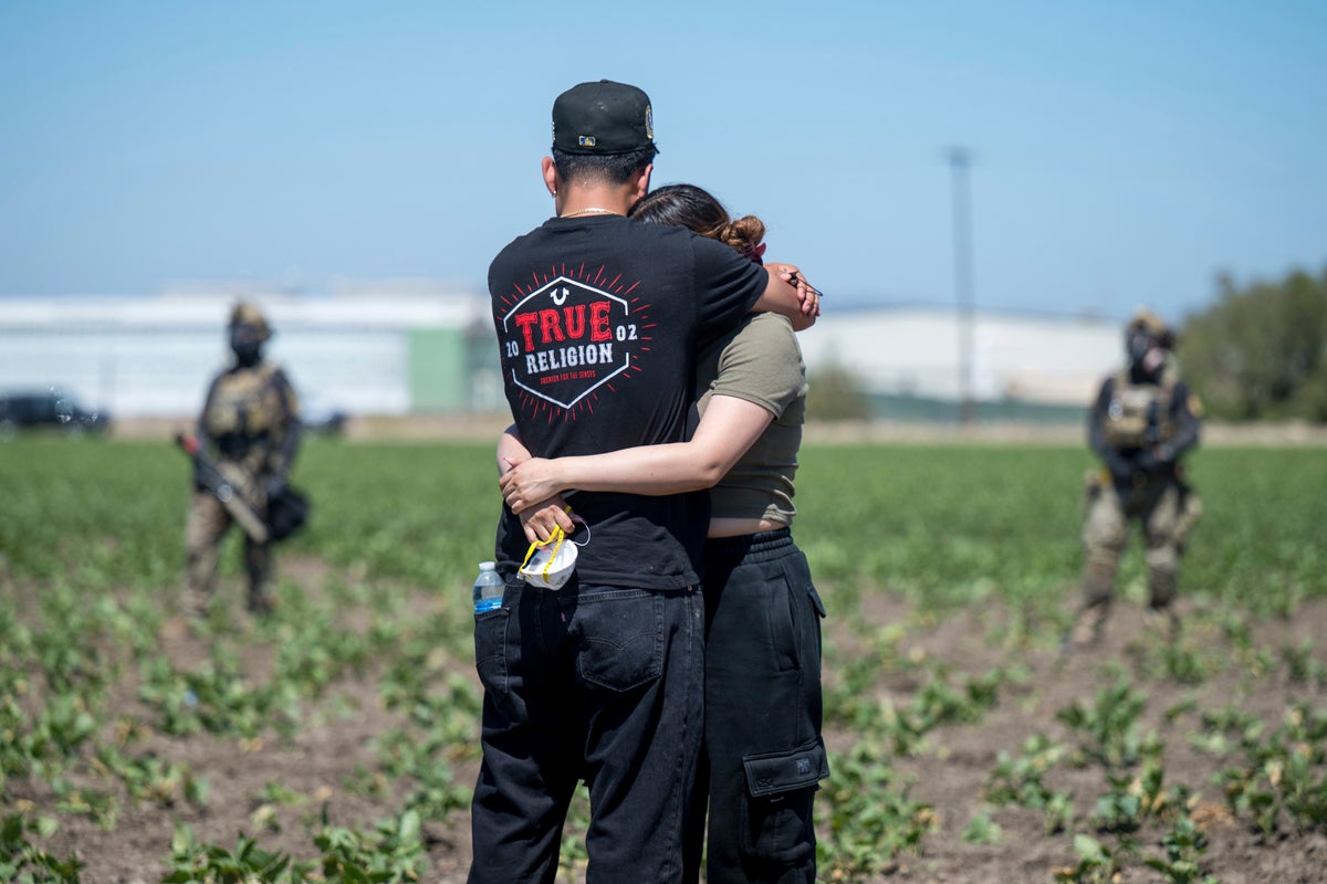 Farmworker dies after falling from greenhouse roof during chaotic ICE raid