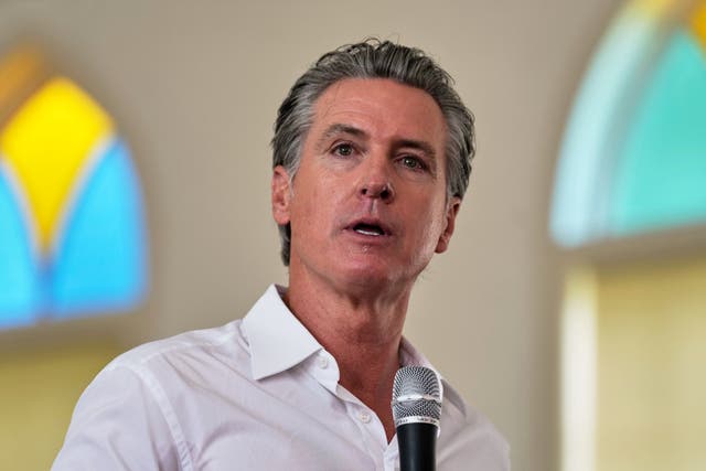 <p>Newsom expressed his dislike for bullies and said Trump's behaviour triggers him</p>