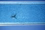 Urgent recall for garden item after recent child deaths