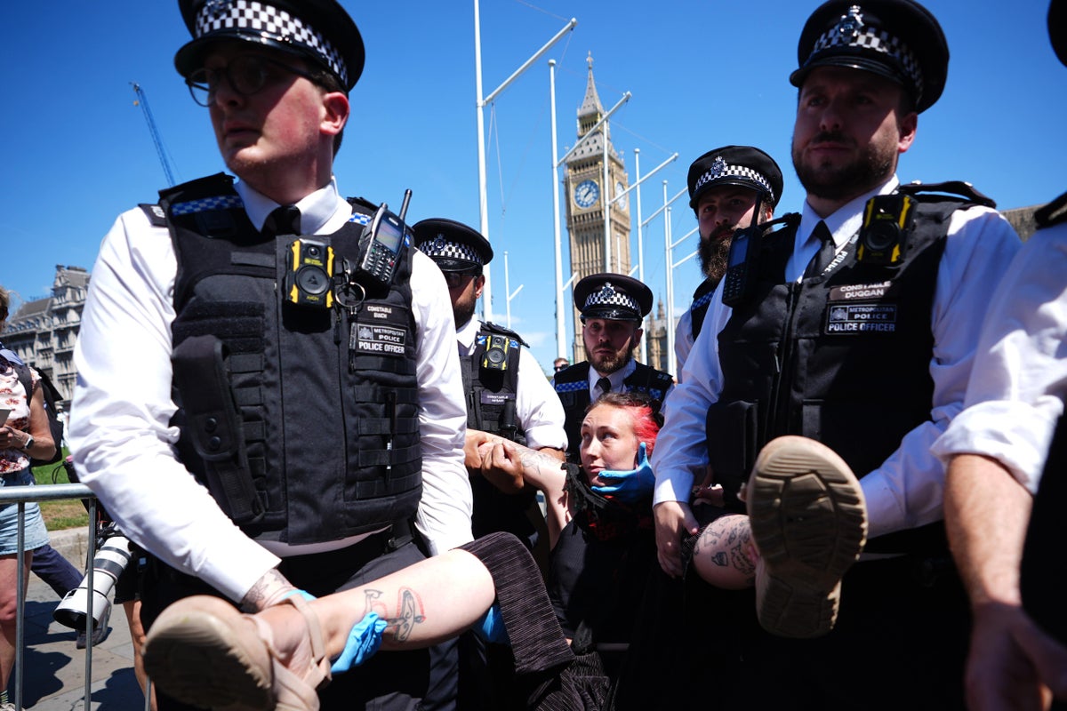 Dozens Arrested at UK Protests Backing Banned Group