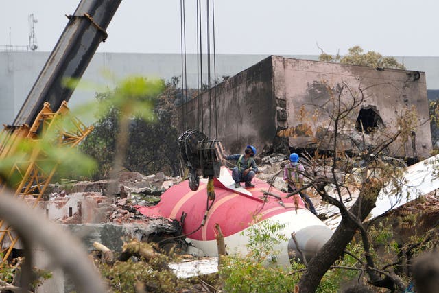 <p>The Air India flight, a Boeing 787-8 Dreamliner, crashed on June 12</p>
