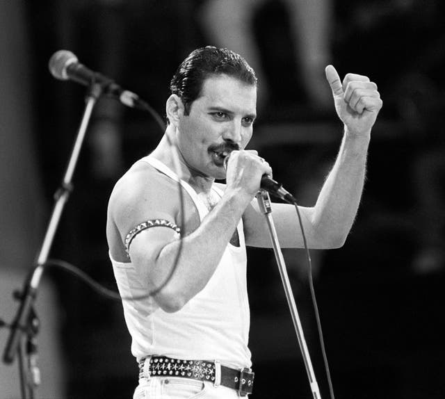 <p>Freddie Mercury of the rock-pop band Queen</p>