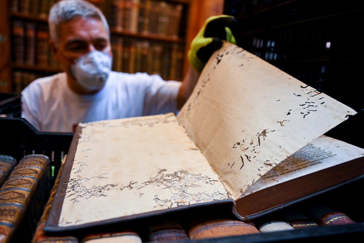 Paper-eating beetles threaten 100,000 books at country’s oldest library
