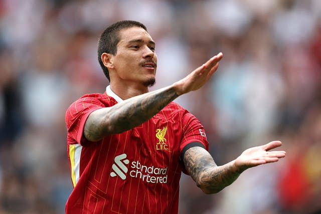 <p>Nunez and Gakpo both produced versions of Diogo Jota’s celebrations</p>