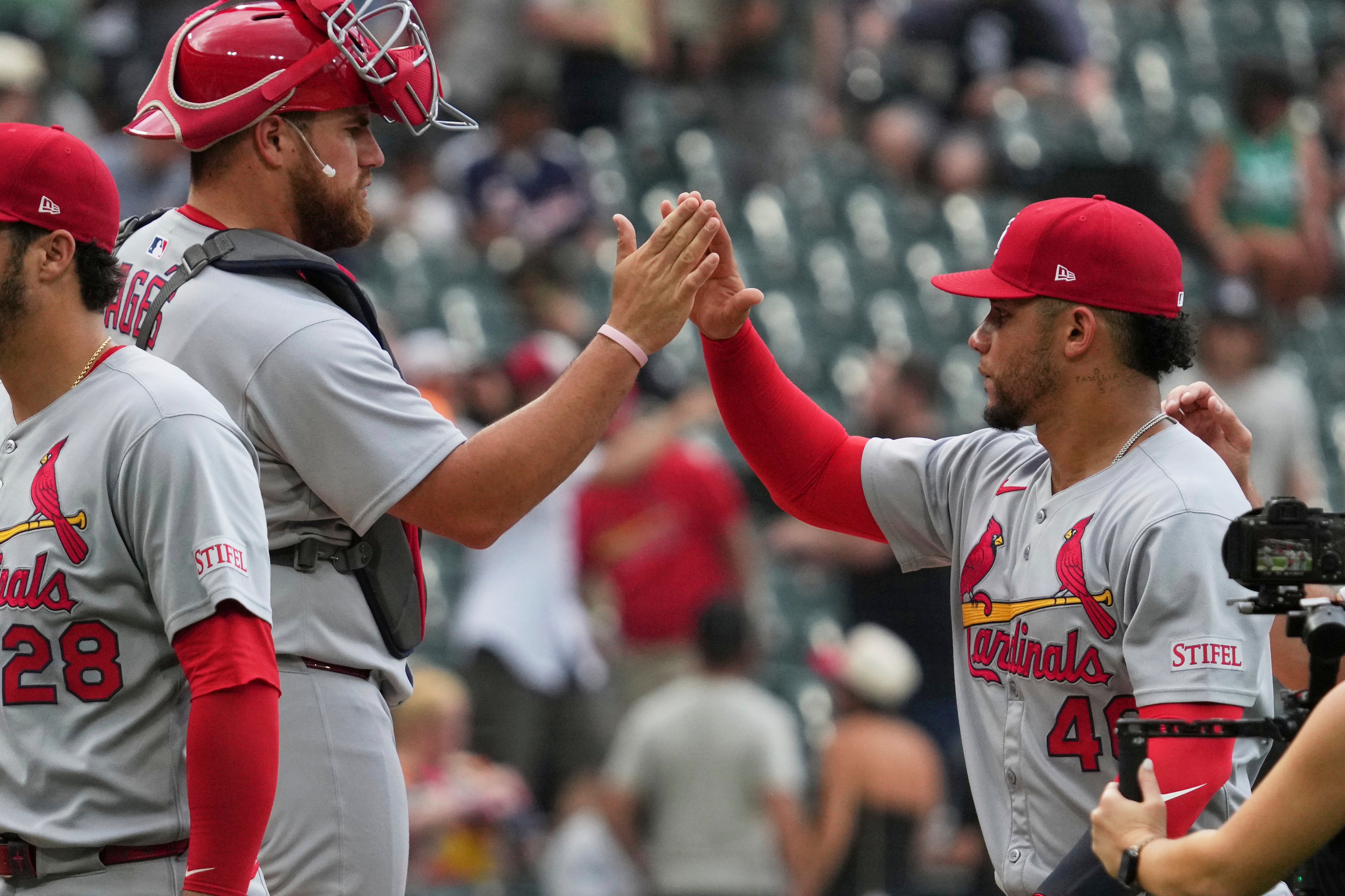 CARDENALES MEDIAS BLANCAS