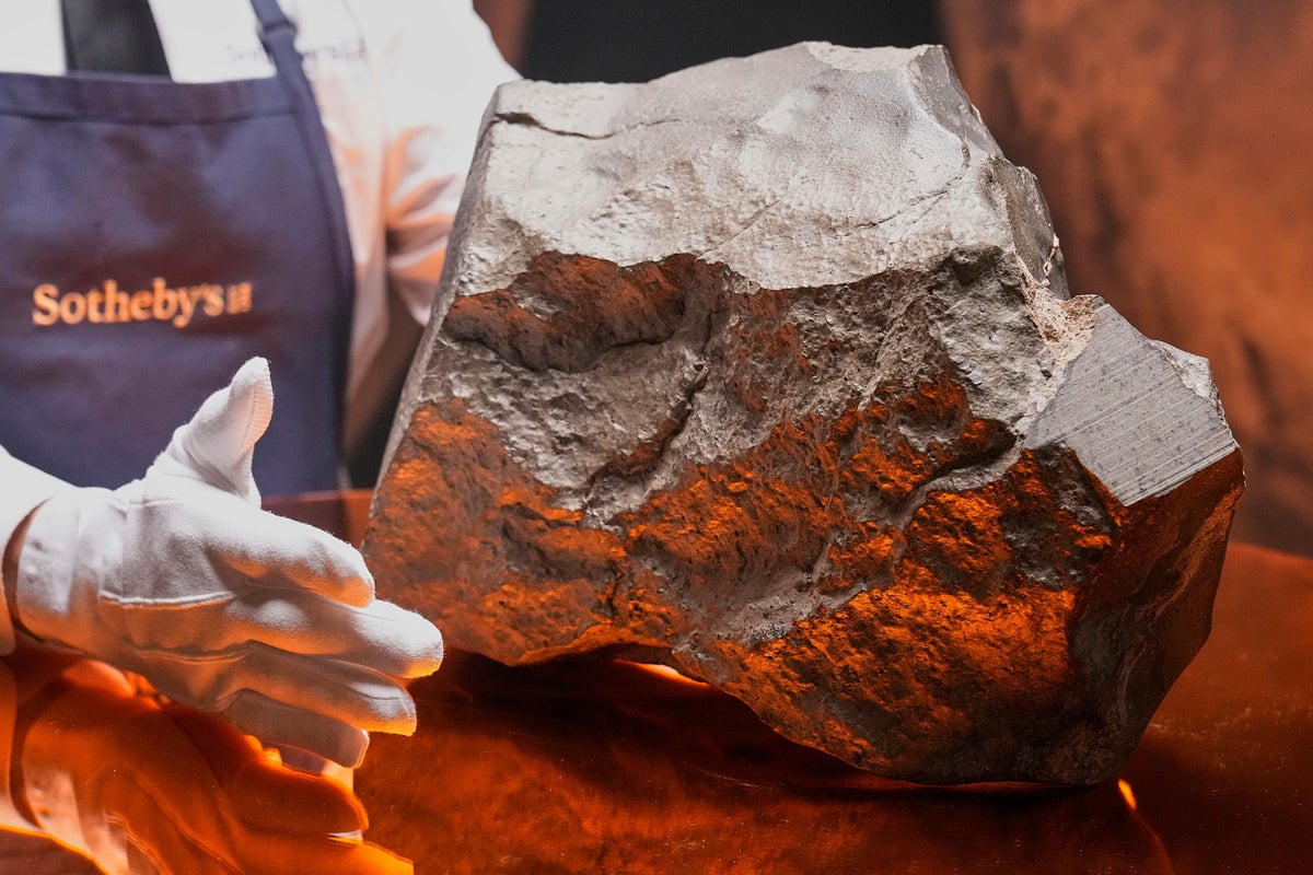 Largest Martian Meteorite on Earth sold for millions at auction