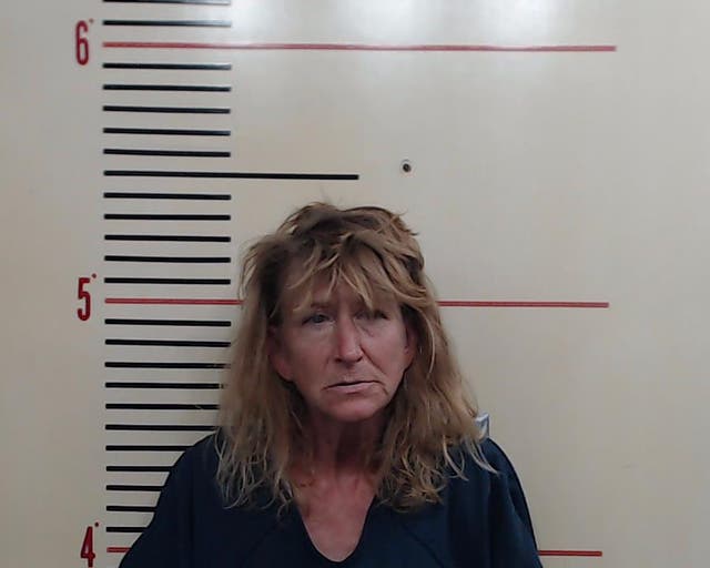 <p>Pamela Jean Stanley, 63, is facing felony charges over her alleged plot to kill her ex-husband using chocolate. </p>