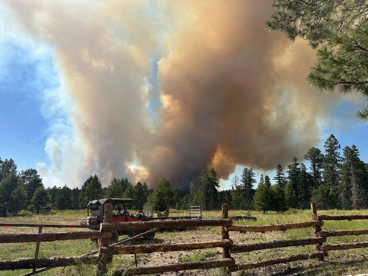 Smoke from regional wildfires billows over trees near the Grand Canyon in Arizona in this image released on July 11, 2025, obtained from social media. NPS Photo/L. Cisneros via REUTERS