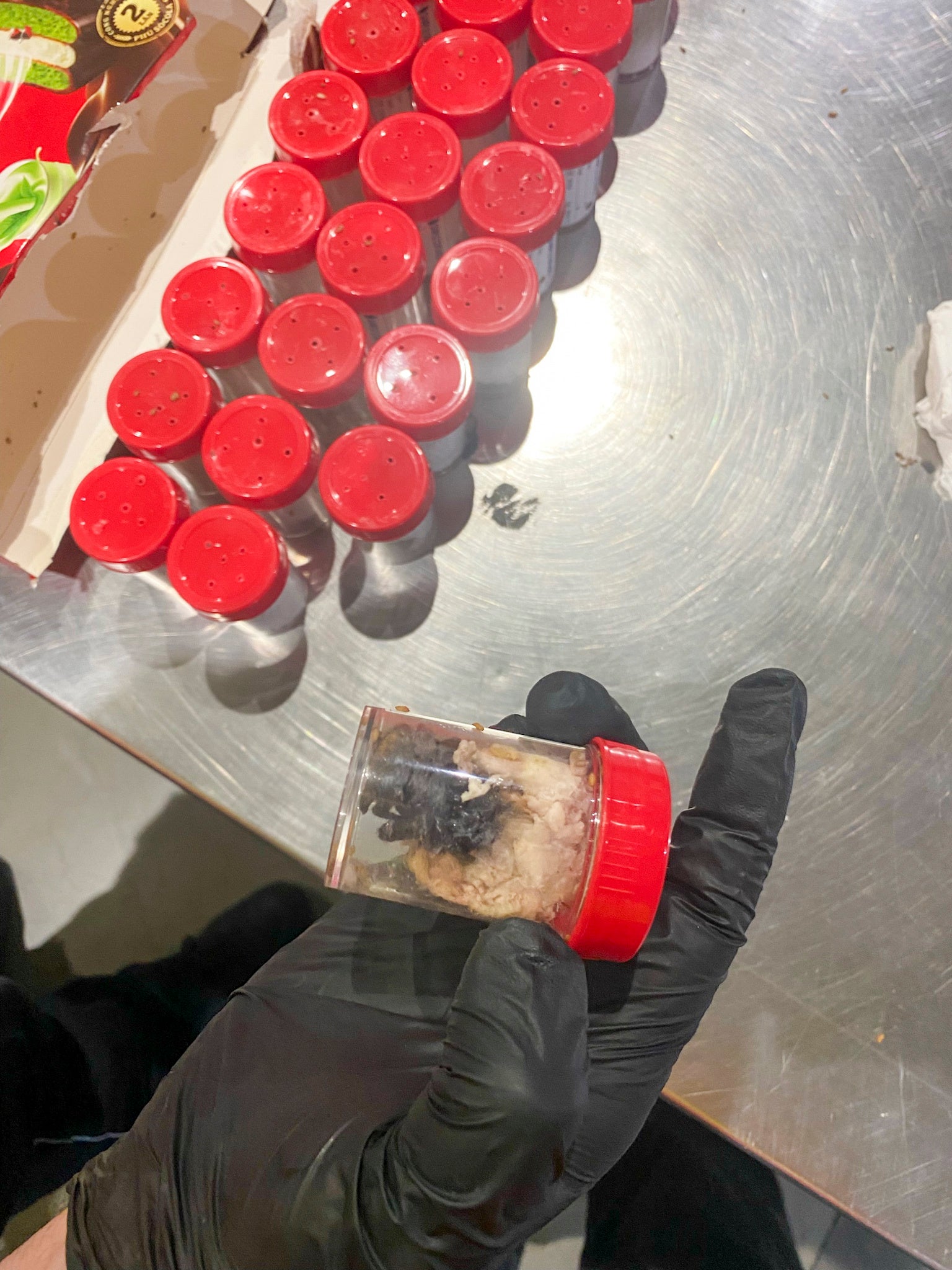 The tarantulas were being shipped to Cologne Bonn airport, western Germany