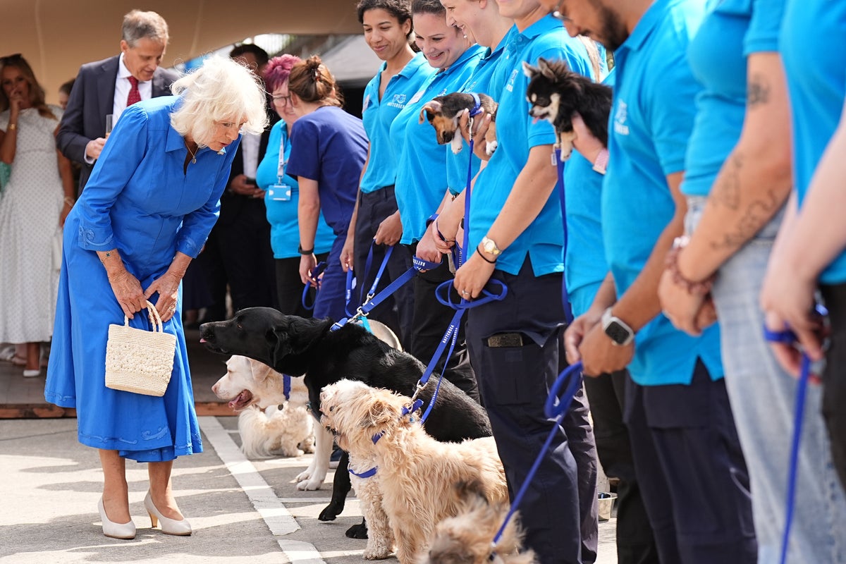 Camilla ‘regrets’ not adopting stray Jack Russell puppy