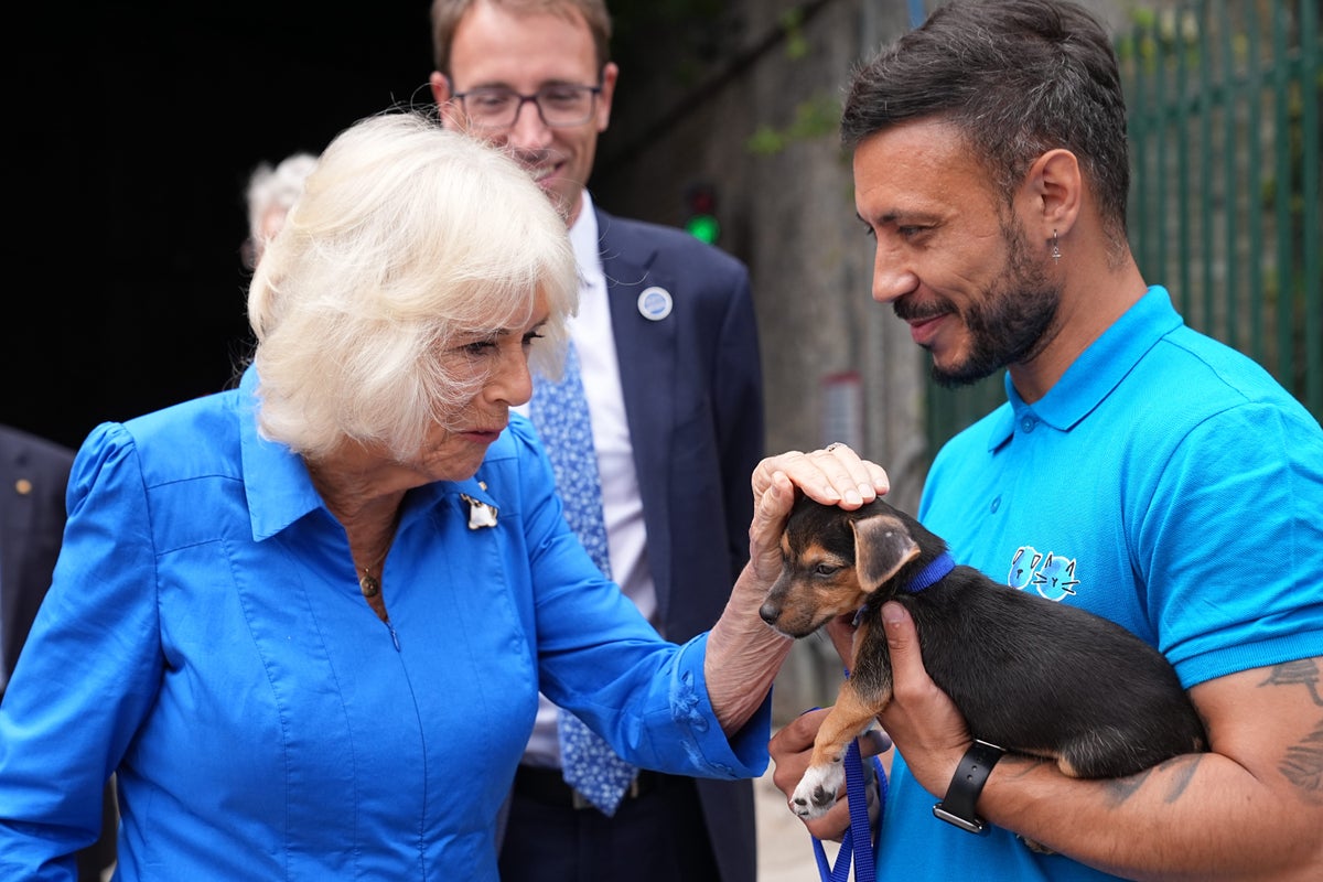 Camilla declares she’d have ‘taken’ stray puppy she met at dogs’ home