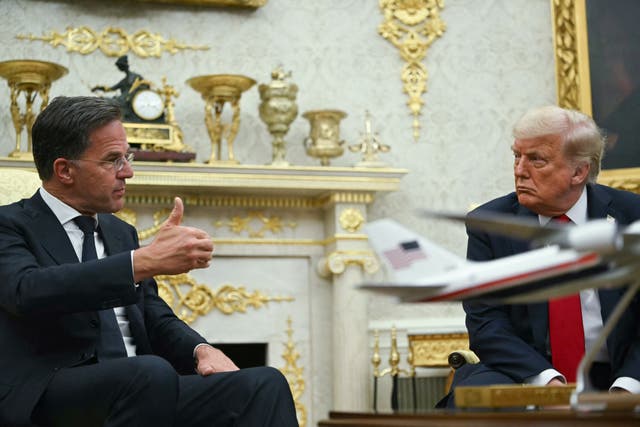<p>NATO head Mark Rutte jokingly called U.S. President Donald Trump ‘daddy’ during their last meeting in June - a month later they were together in ‘daddy’s’ White House. </p>