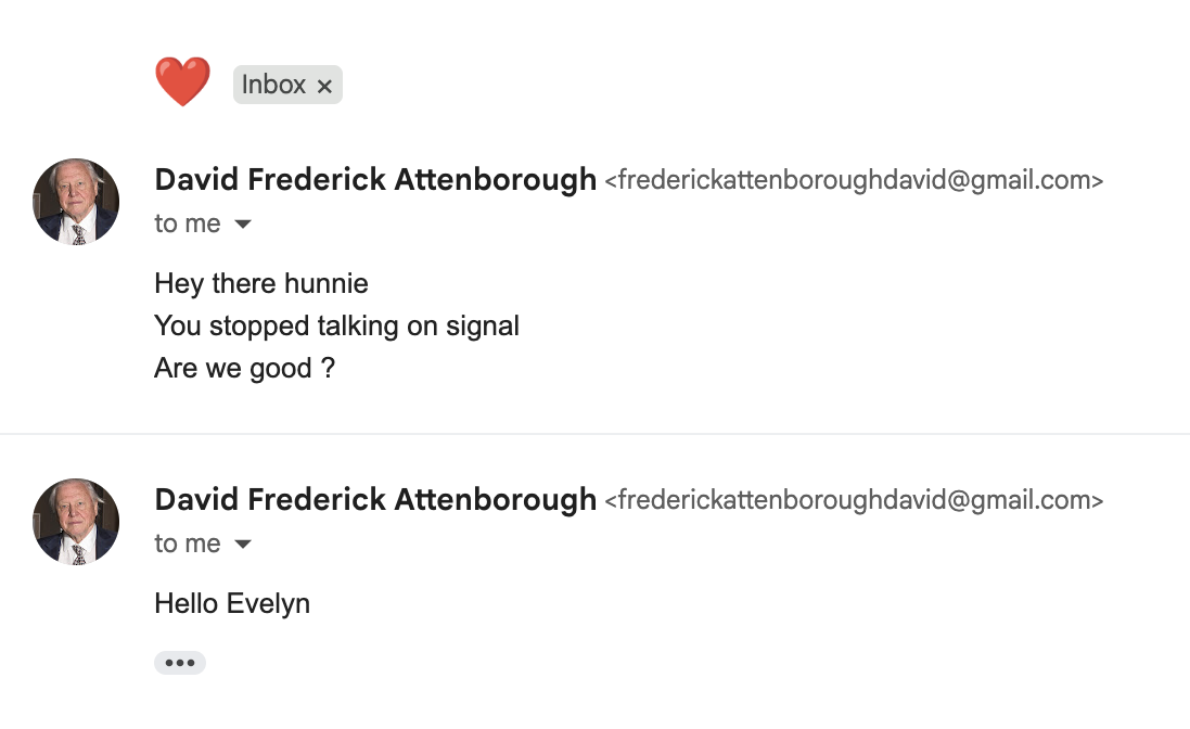 A reporter was contacted by a fake Attenborough via a Facebook account – the fraudster soon moved the conversation to email and messaging app Signal