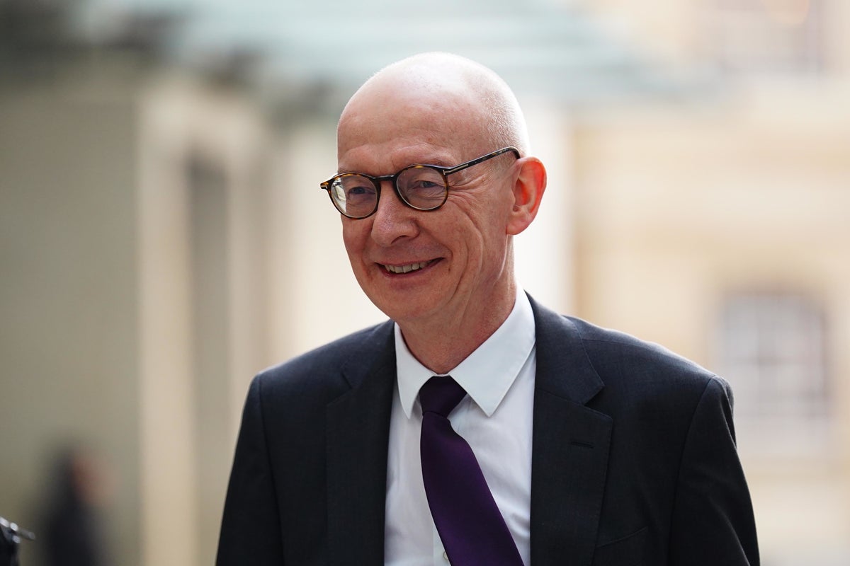 Digital ID cards could help solve the small boats crisis, says Pat McFadden