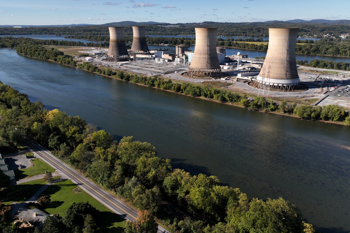 DOGE official told nuclear regulators they expect a ‘rubber stamp’ approval on new reactors: report
