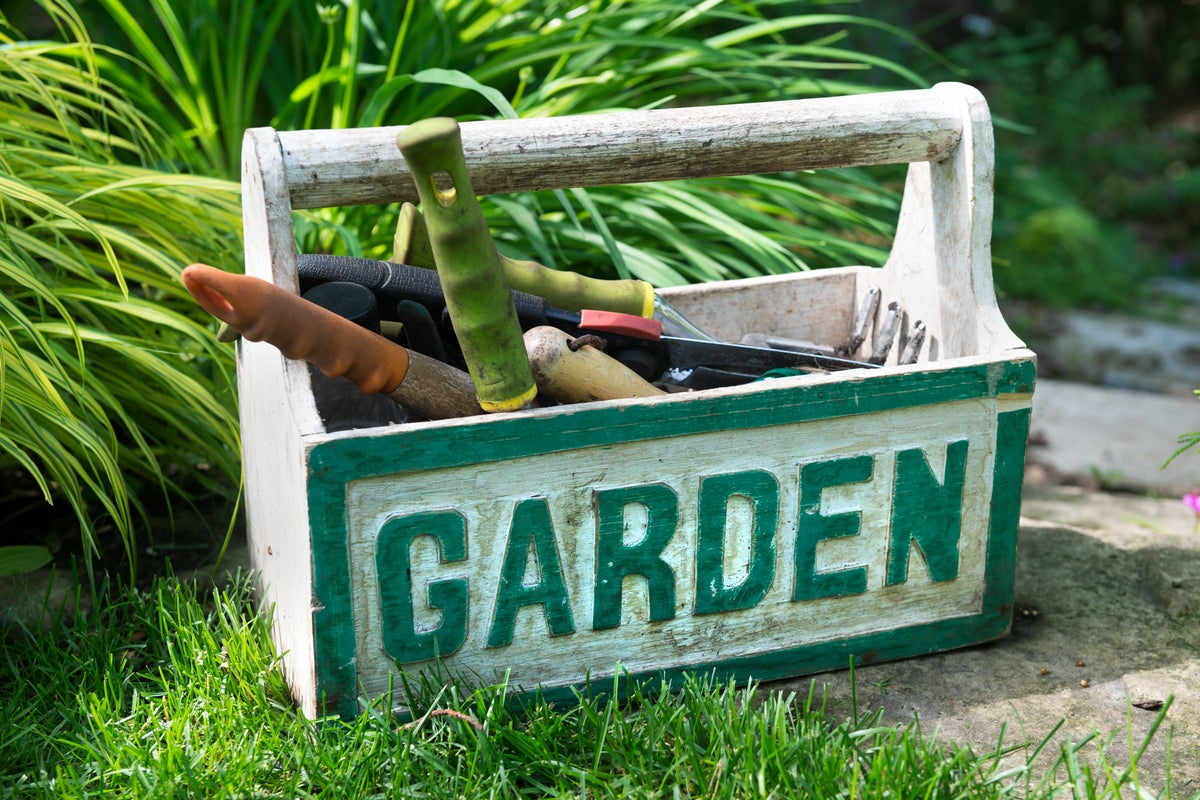 Too busy to tend to your garden? Experts reveal their top time-saving tips