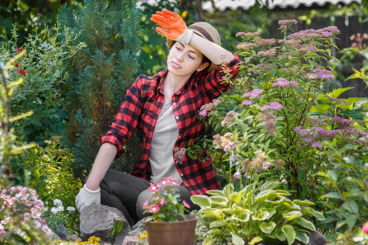Time-saving tips for the busy gardener