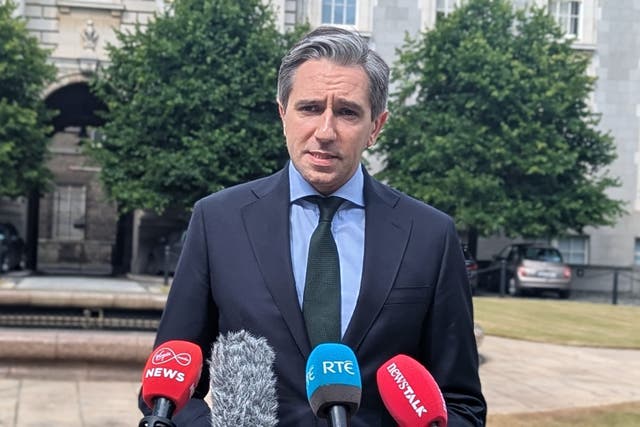 Tanaiste Simon Harris has warned about the effects of tariffs (PA)