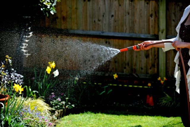 <p>Multiple hosepipe bans have been announced up and down the country</p>