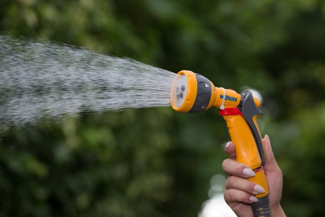 <p>Four water companies are enforcing hosepipe bans in the UK (Alamy/PA)</p>