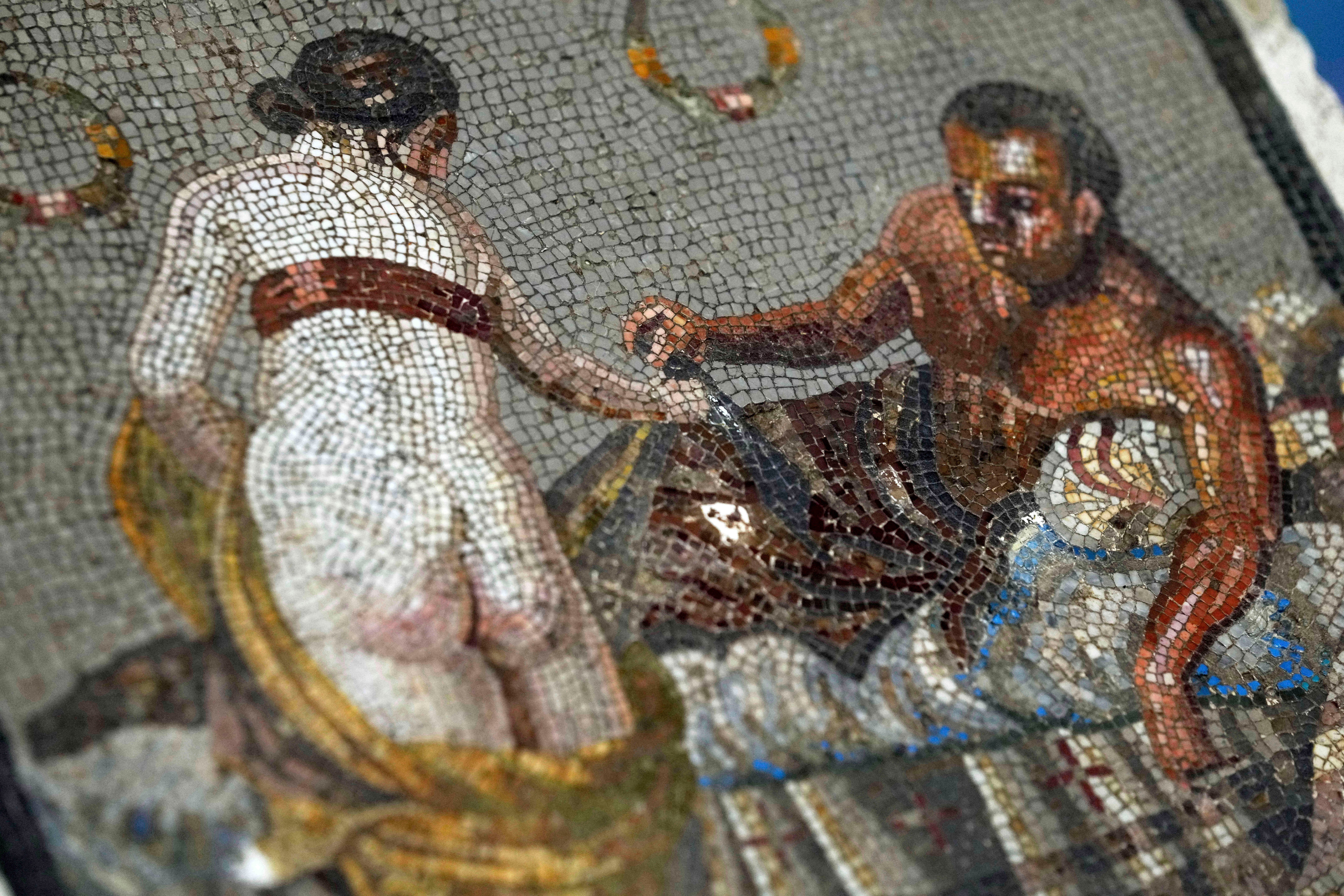 Das Mosaik wird für Bildungs- und Forschungszwecke geschützt und verfügbar sein