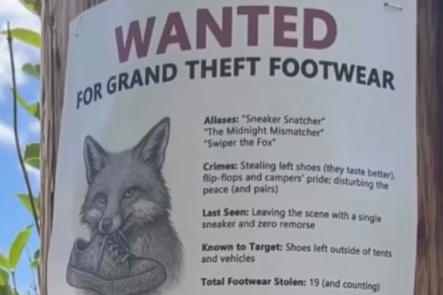 <p>Un cartel advierte a los visitantes del Parque Nacional de Grand Teton, en Wyoming, que hay un zorro que roba calzado desde hace semanas</p>