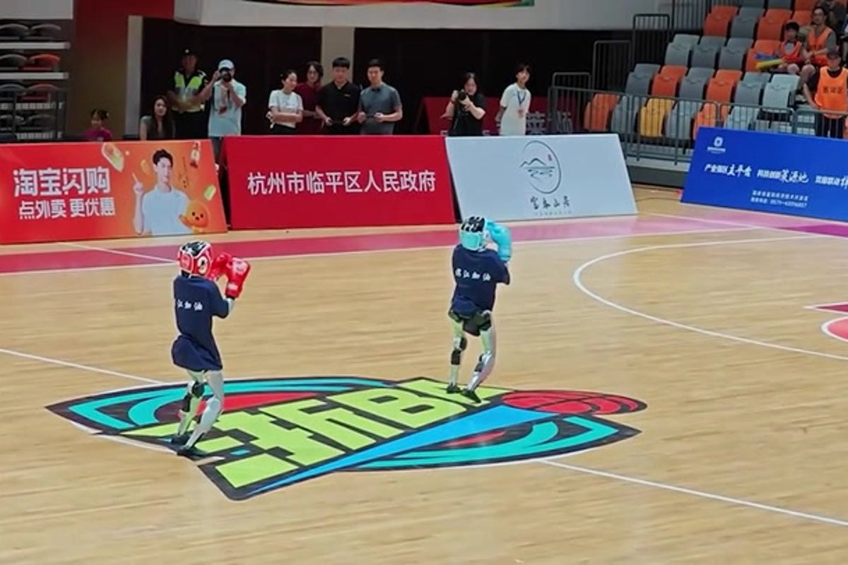 Humanoid robots fail to hit each other during martial arts battle in China