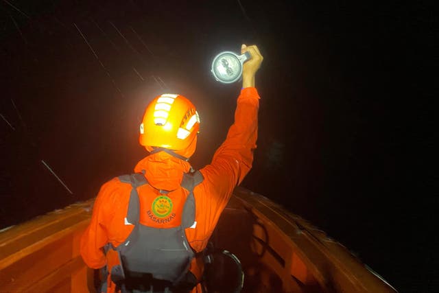 <p>A rescuer uses a torchlight to search for survivors after a boat capsized on July 14 in Indonesia</p>