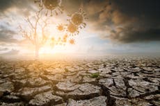 Why scientists fear climate change could help Covid to thrive