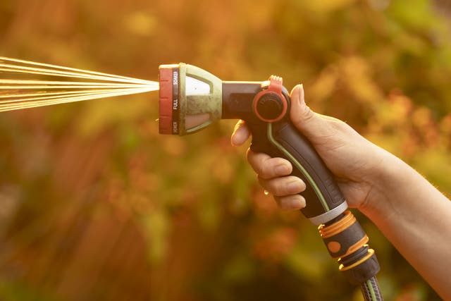 <p>Yorkshire Water, South East Water, and Southern Water have all imposed bans to curb non-essential use as England battles exceptionally dry weather</p>