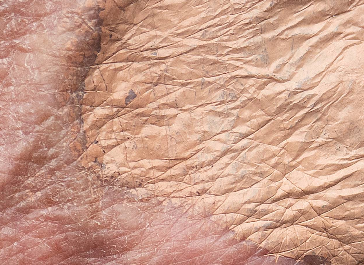 A closer inspection of Trump's right hand showed a distinct contrast between makeup and his natural skin color