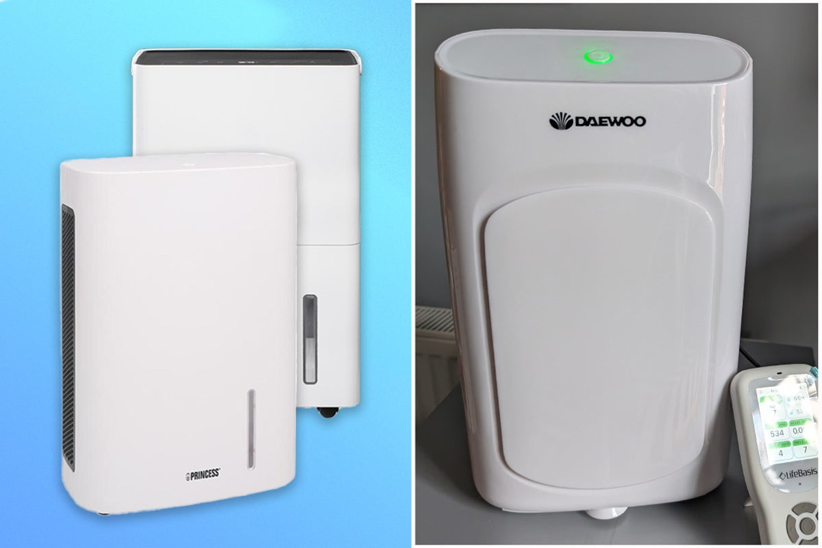 Best dehumidifiers that tackle damp and mould, tried and tested at home