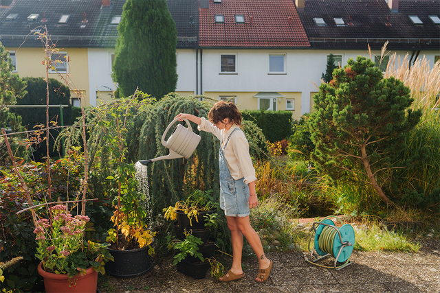 <p>We consulted the experts to find out how you can care for your outdoor space</p>