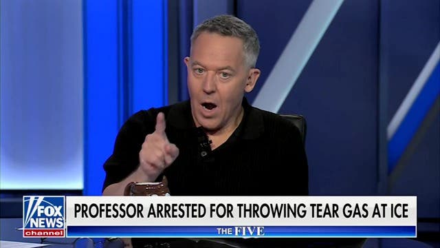 <p>Fox News host Greg Gutfeld told viewers that ‘we need to learn from the Blacks’ and ‘remove the power from the n-word,’ claiming that conservatives should now refer to themselves as Nazis.</p>