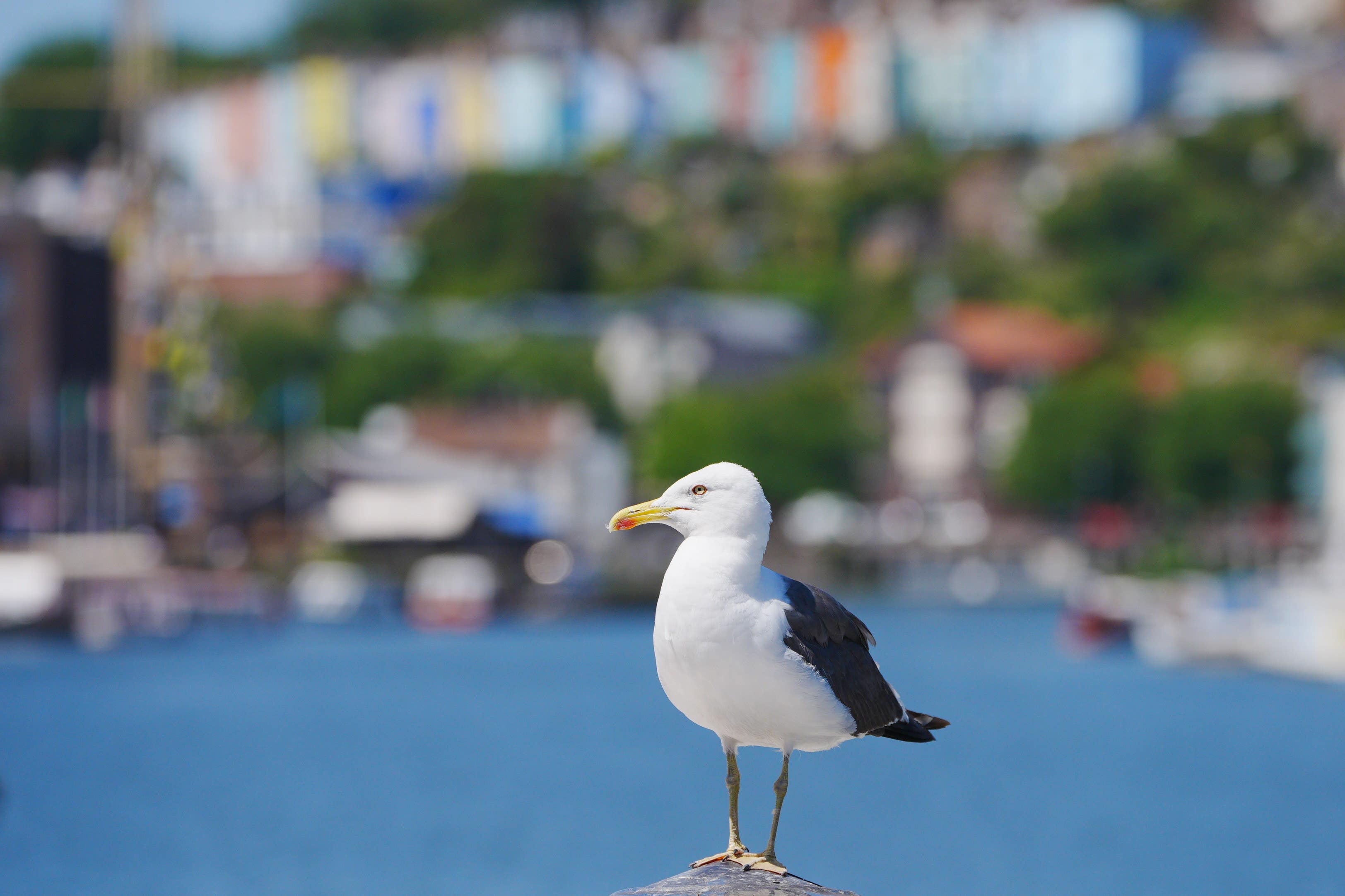 The unsettled weather is forecast to spread across more of the UK over the weekend, as temperatures start to slowly drop (Ben Birchall/PA)
