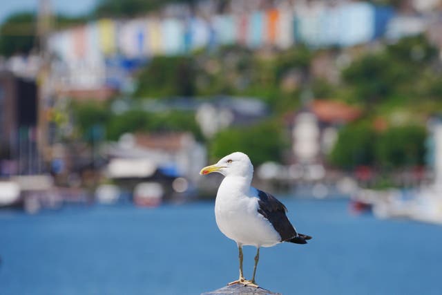 The unsettled weather is forecast to spread across more of the UK over the weekend, as temperatures start to slowly drop (Ben Birchall/PA)