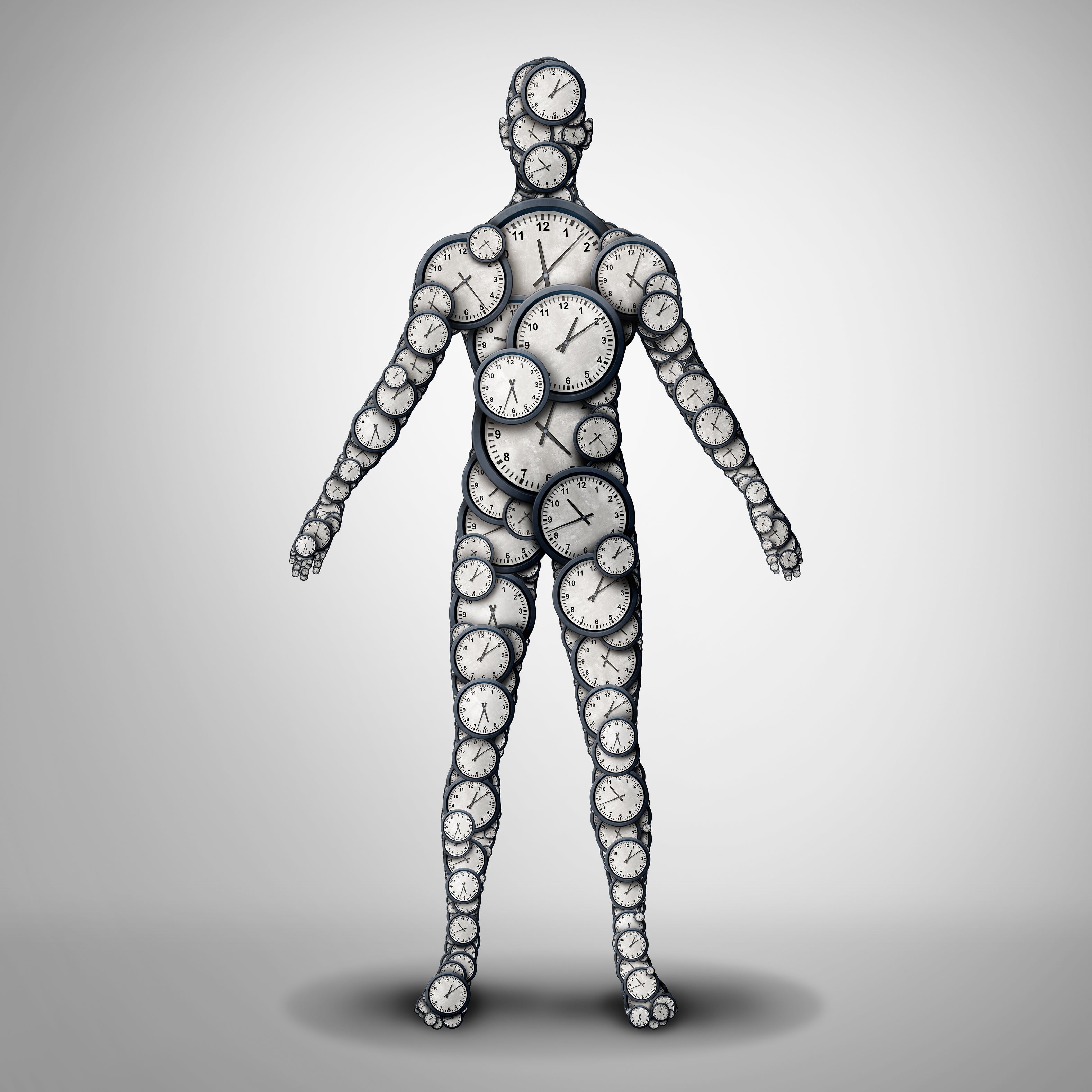 The body’s cells, tissues and organs all have different ‘clocks’ ticking at different speeds