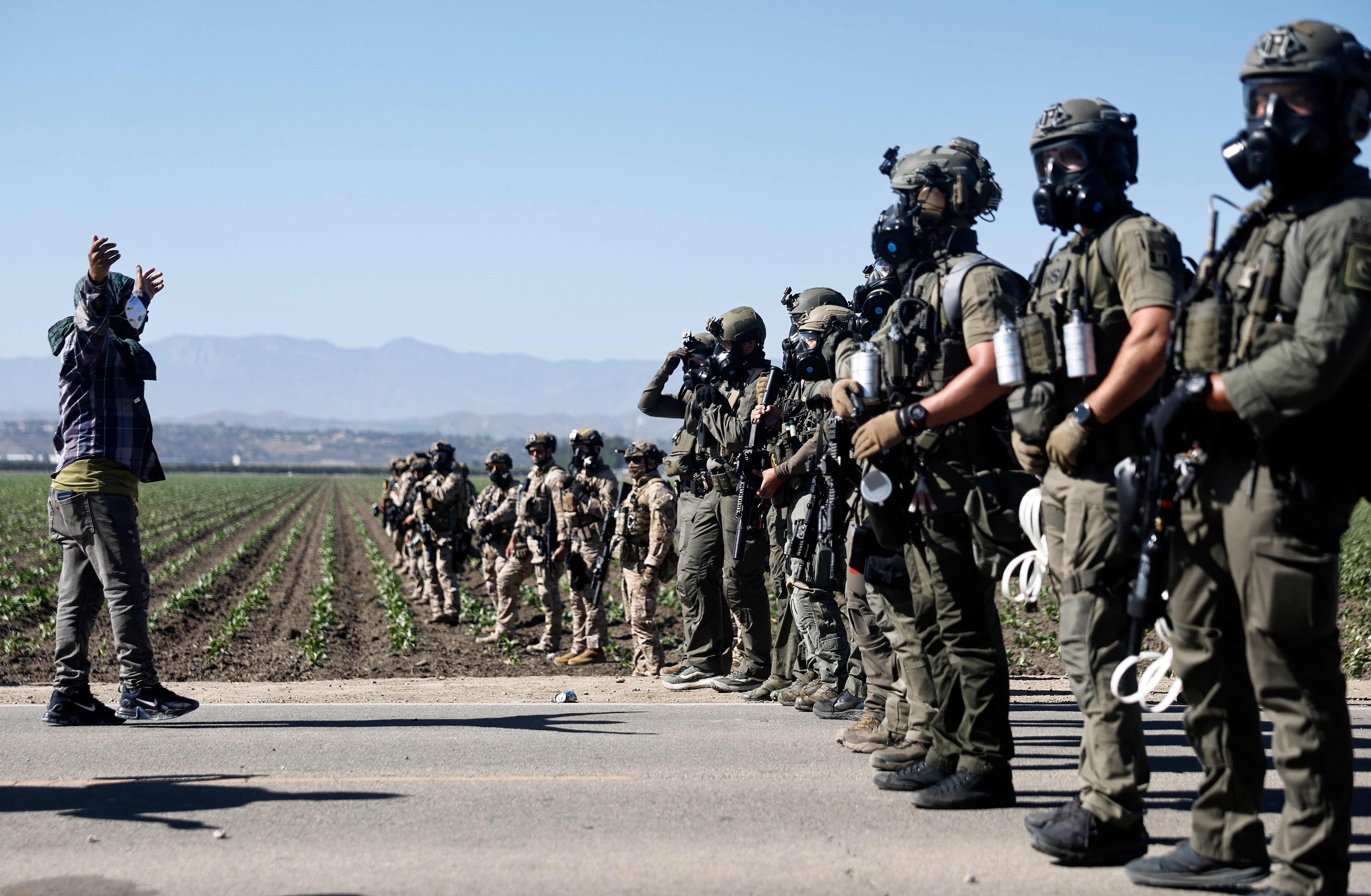 Federal agents lined up at a California marijuana farm to protect ICE agents who were carrying out mass immigration arrests