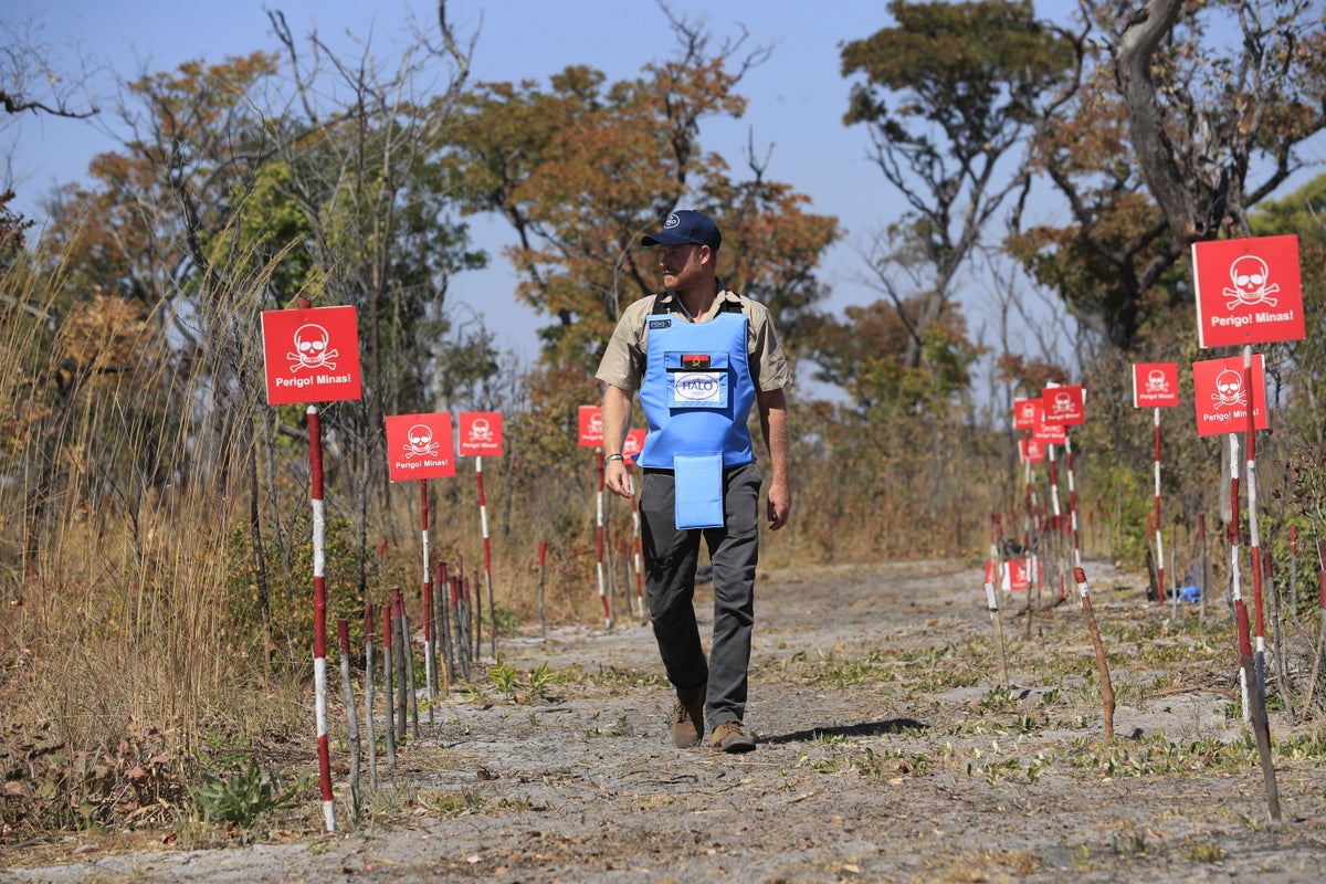 Prince Harry retraces Diana's footsteps by walking through a land mine field in Angola for charity