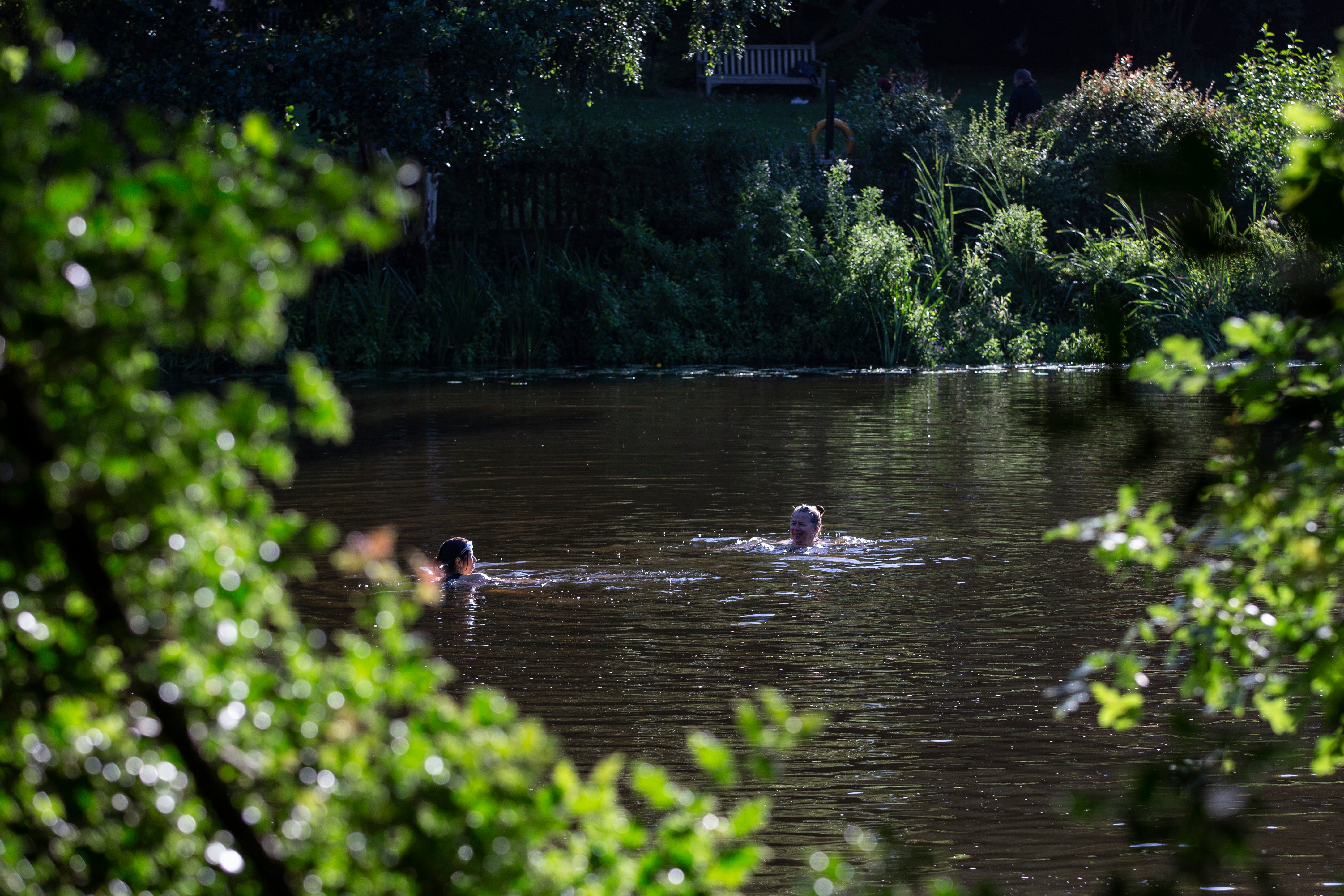 A view of the pond, popular with those looking to relax and unwind