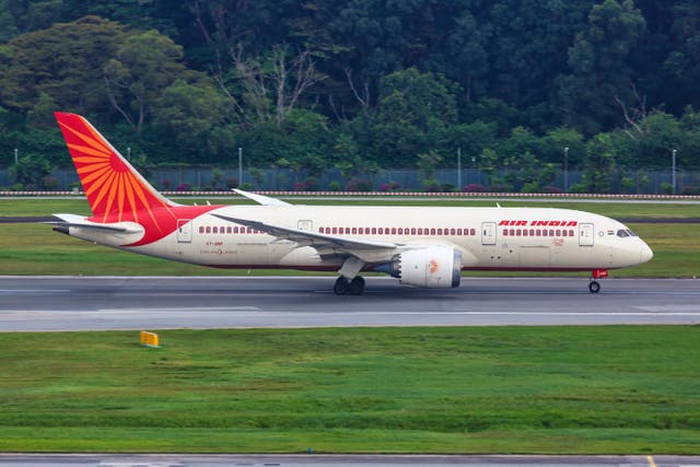<p>File: An Air India Boeing 787-8 Dreamliner airplane at Changi Airport in Singapore. Air India grounded an aircraft for inspection after a fire broke out in its auxiliary power unit, or APU, shortly after landing in New Delhi on Tuesday</p>