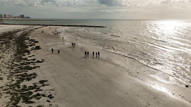 <p>Beaches in Florida and along the Gulf Coast are leaving residents vulnerable to bacteria called Vibrio vulnificus. Exposure has led to four deaths in the state this year</p>