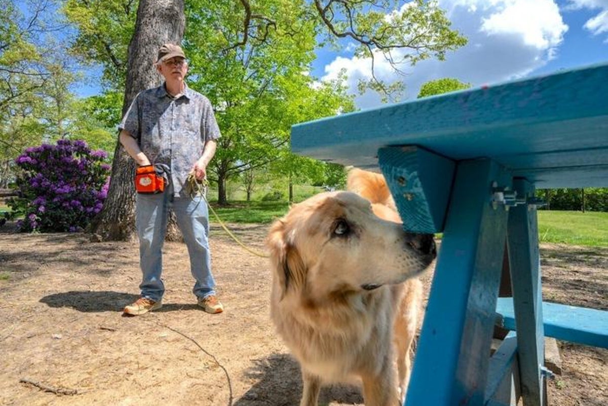 Dogs may be the key to getting rid of these common pests