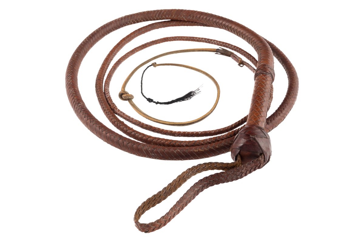 Indiana Jones whip snaps up $525,000 at auction after 'Citizen Kane' sled goes for $14.75 million