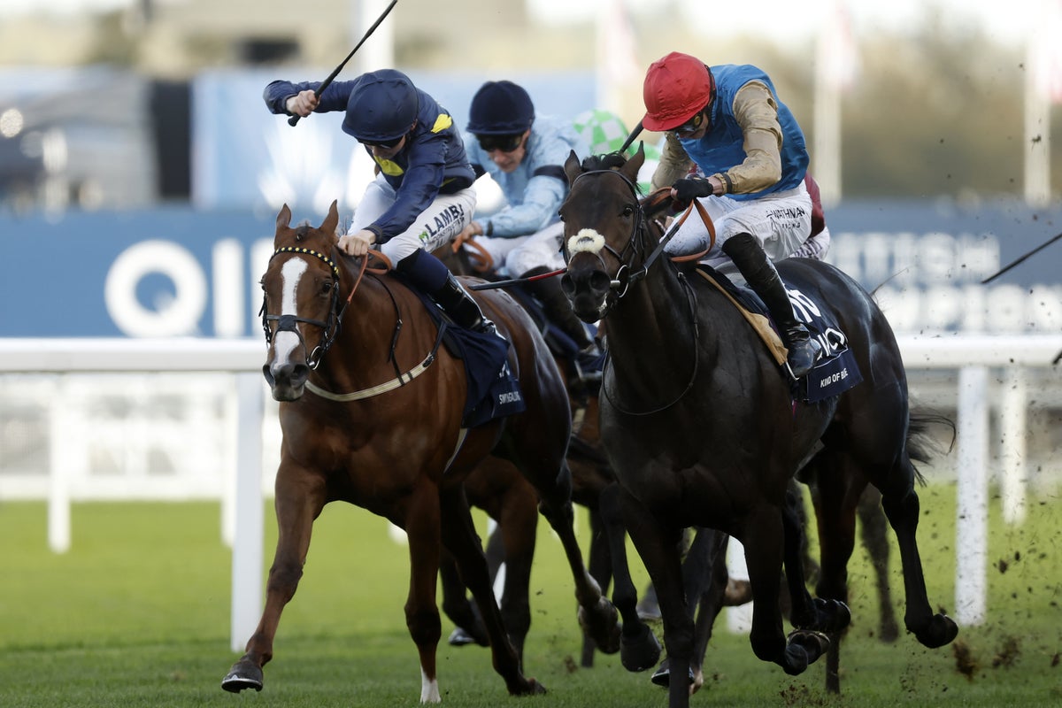 Saturday racing tips: Best bets and odds for Newbury, Market Rasen and Ripon