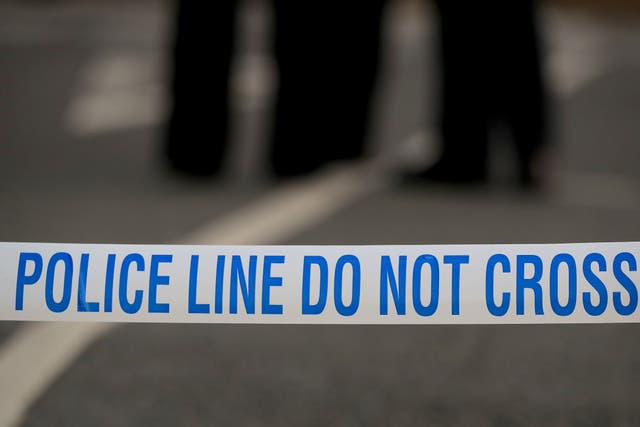 <p>Eight officers were injured in the protests outside a hotel in Epping</p>