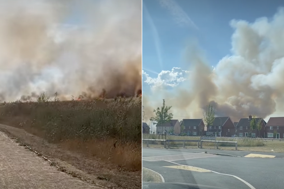 Huge blaze breaks out in Essex field as firefighters battle wildfires across UK