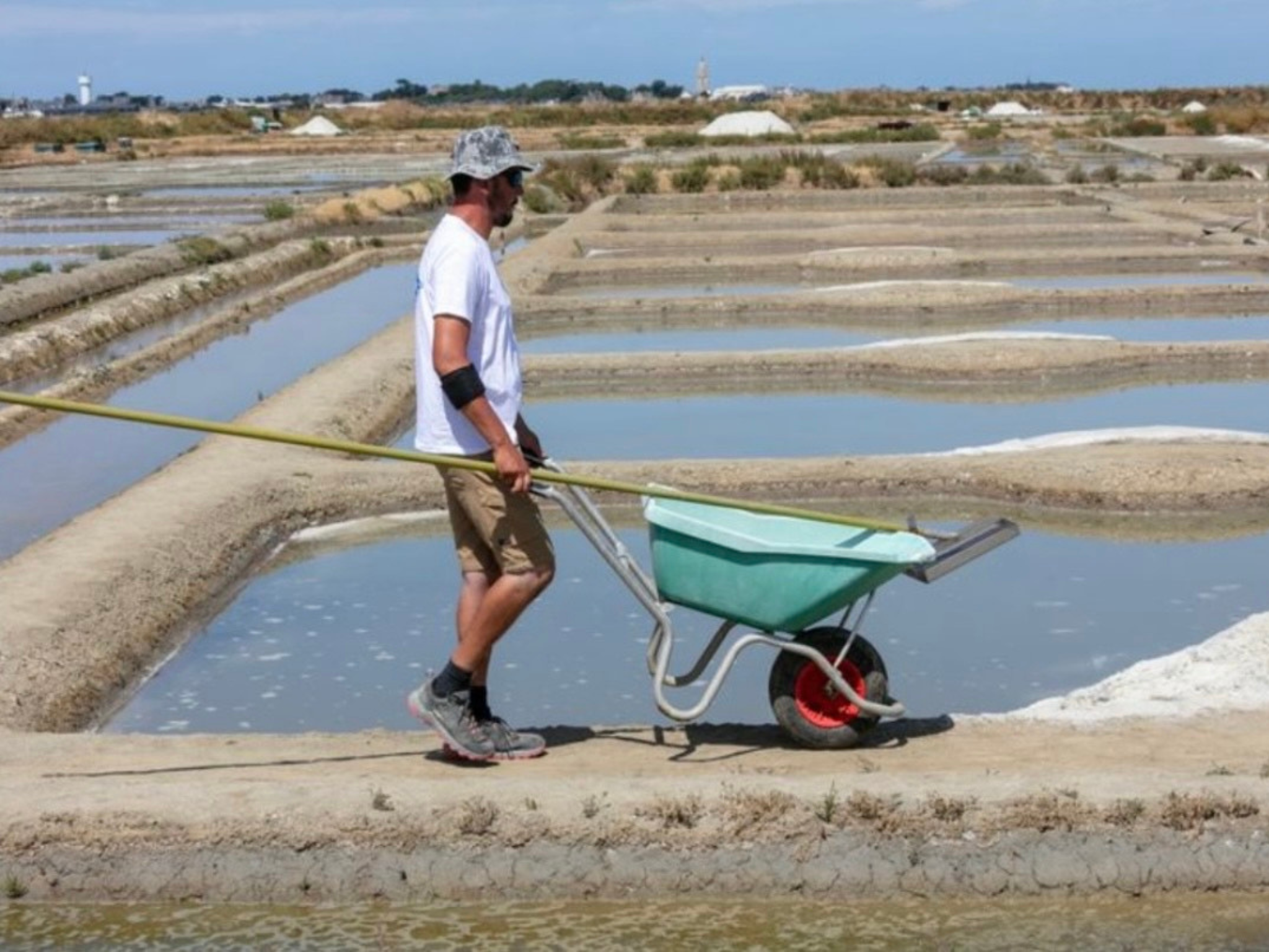 Paludiers gather the salt by hand using long-handled rakes