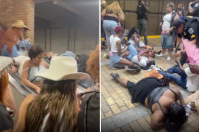 <p>An insect may have caused a stampede at an Atlanta metro station as concert-goers left a Beyoncé concert, transit officials say</p>