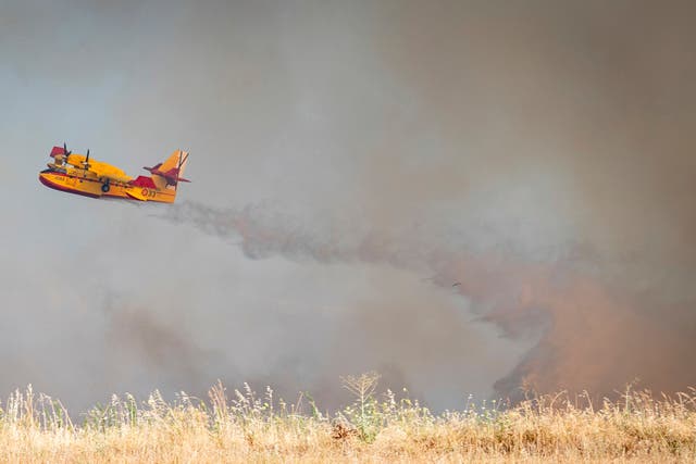 <p>The blaze consumed approximately 3,000 hectares and led to dozens of evacuations</p>